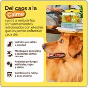 ESENZA: Kit de difusor calmante para perros